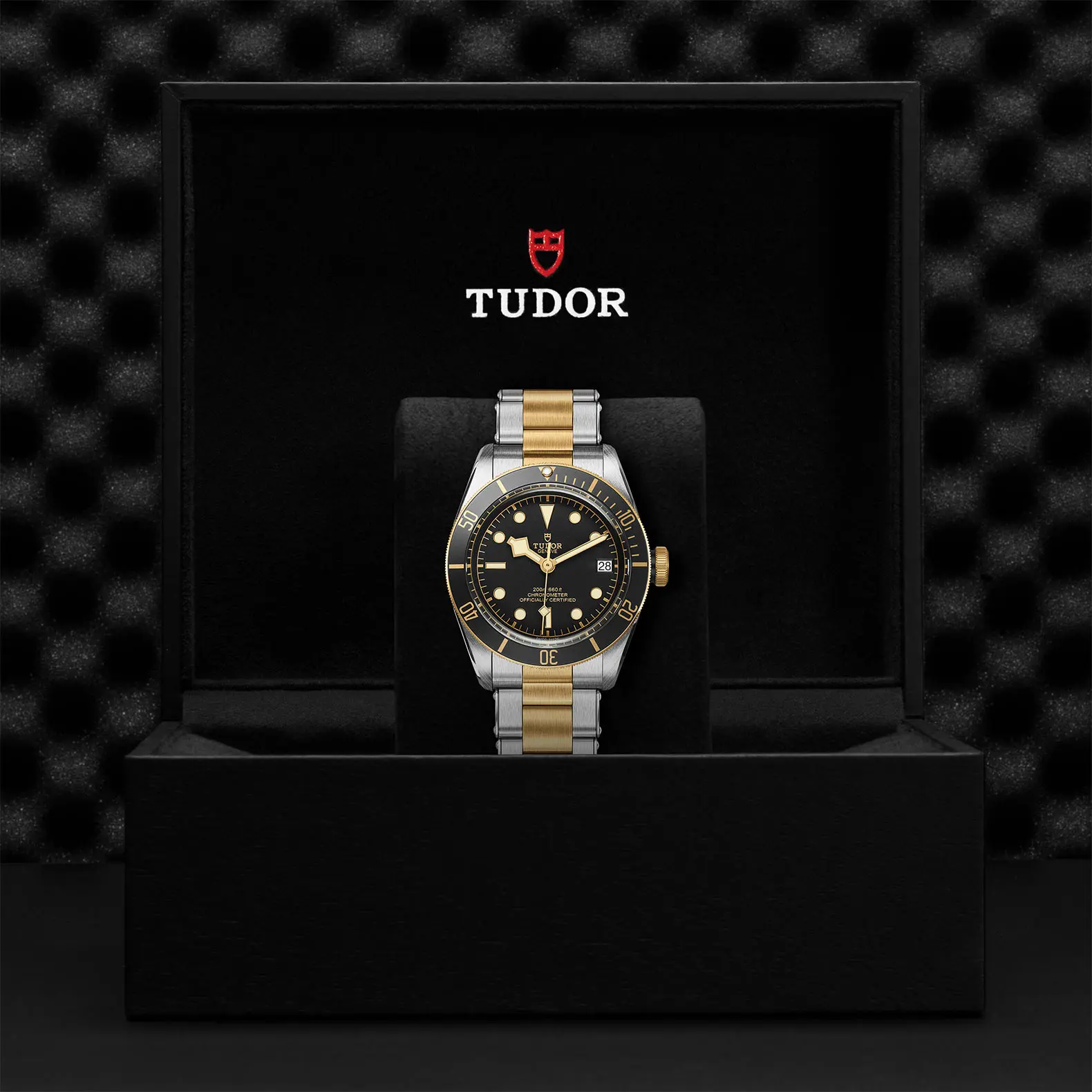 TUDORBlack Bay S&GBlack Bay41mm steel case with polished and satin finish - M79733N-0008 at Cortina Watch Thailand