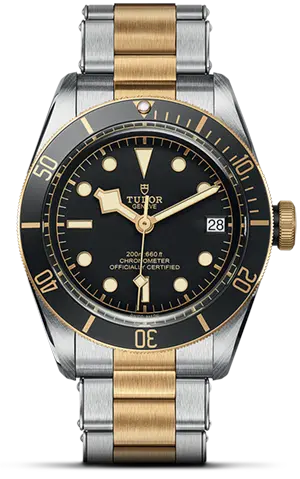 TUDORBlack Bay S&GBlack Bay41mm steel case with polished and satin finish - M79733N-0008 at Cortina Watch Thailand