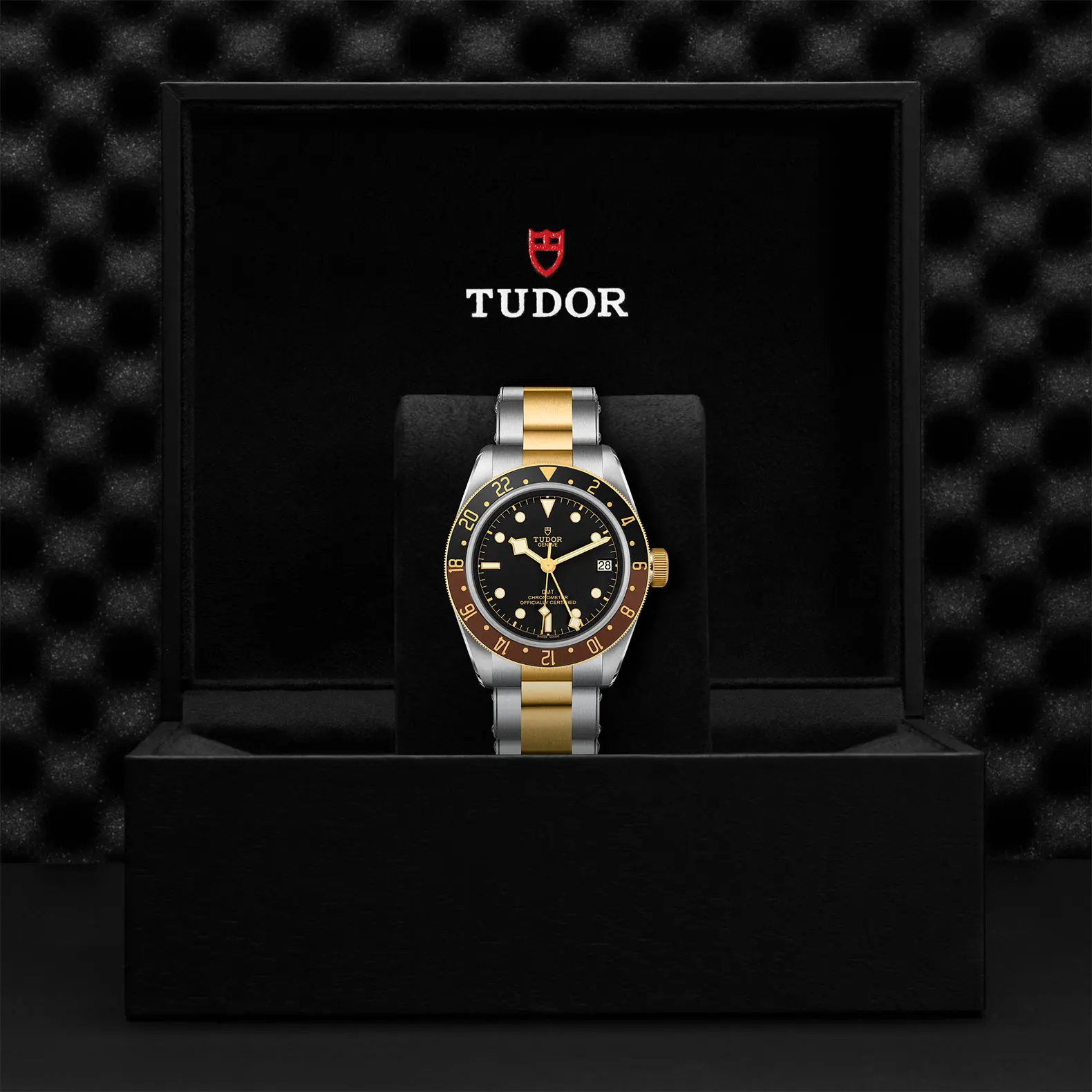 TUDORBlack Bay GMT S&GBlack Bay GMT41mm steel case with polished and satin finish - M79833MN-0001 at Cortina Watch Thailand