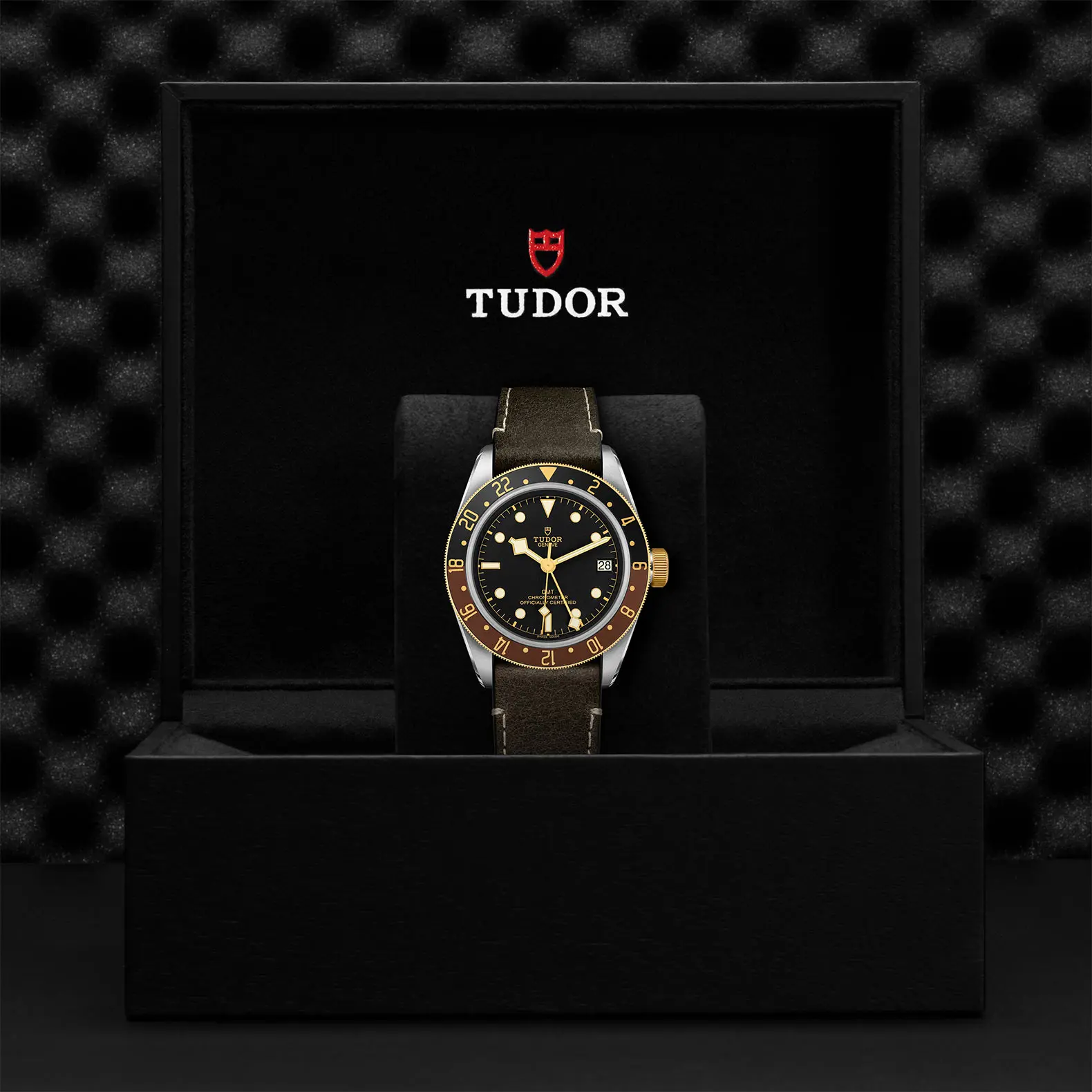 TUDORBlack Bay GMT S&GBlack Bay GMT41mm steel case with polished and satin finish - M79833MN-0003 at Cortina Watch Thailand