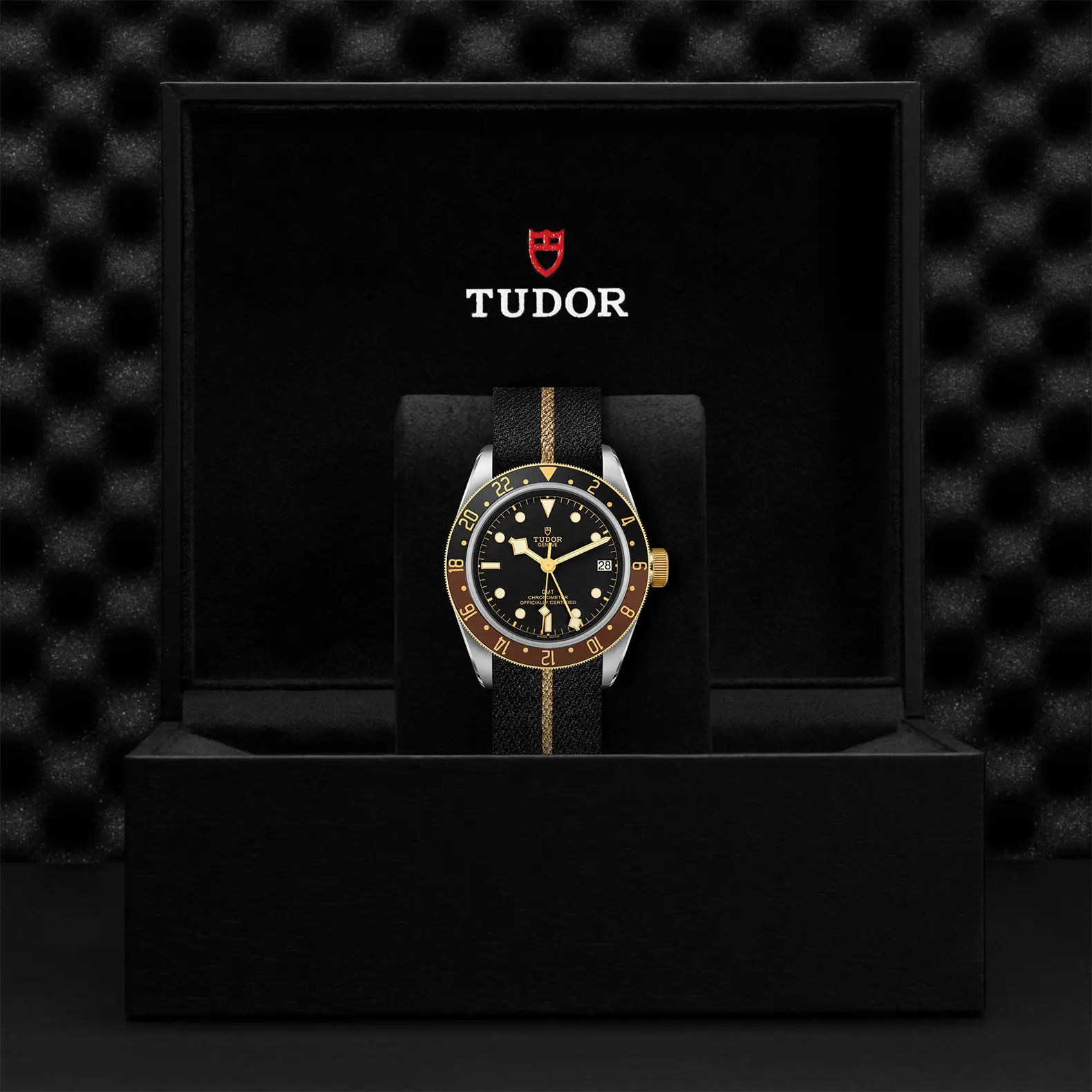 TUDORBlack Bay GMT S&GBlack Bay GMT41mm steel case with polished and satin finish - M79833MN-0004 at Cortina Watch Thailand