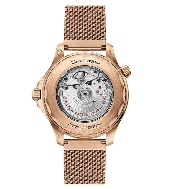 Seamaster Diver 300M - Cortina Watch Thailand