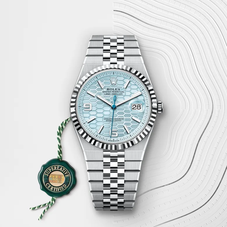 Rolex Land-Dweller in Platinum, M127336-0001 - Cortina Watch Thailand