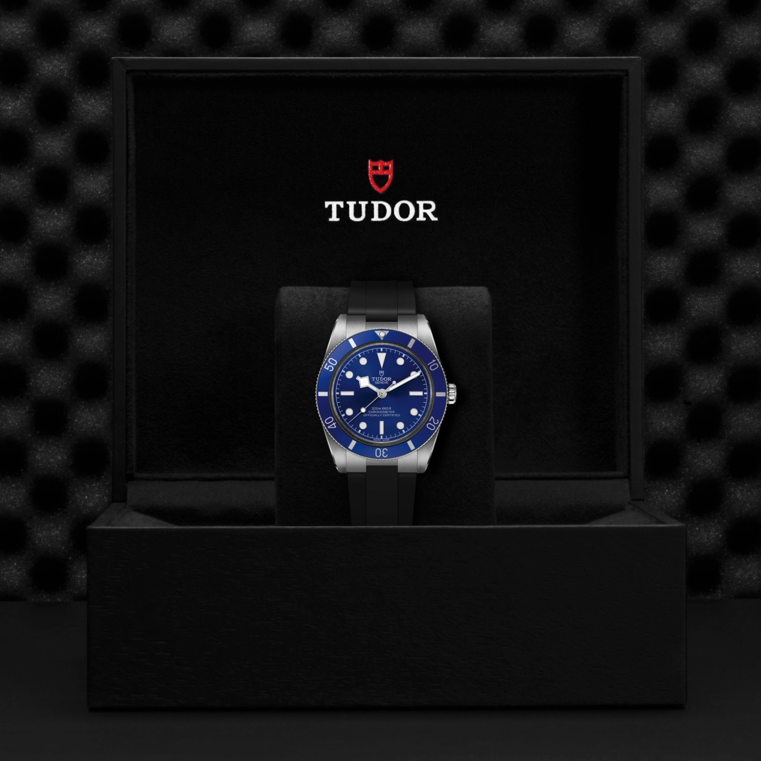 TUDORBlack Bay 54Black Bay 5437mm stainless steel case with polished and satin finish - M79000B-0002 at Cortina Watch Thailand