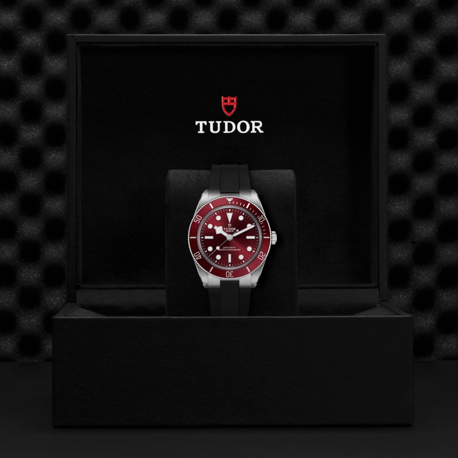 TUDORBlack Bay 58Black Bay 5839mm stainless steel case with polished and satin finishes - M7939A1A0RU-0003 at Cortina Watch Thailand