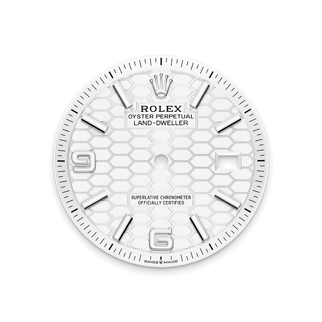 Rolex Land-Dweller in White Rolesor - combination of Oystersteel and white gold, M127234-0001 - Cortina Watch Thailand