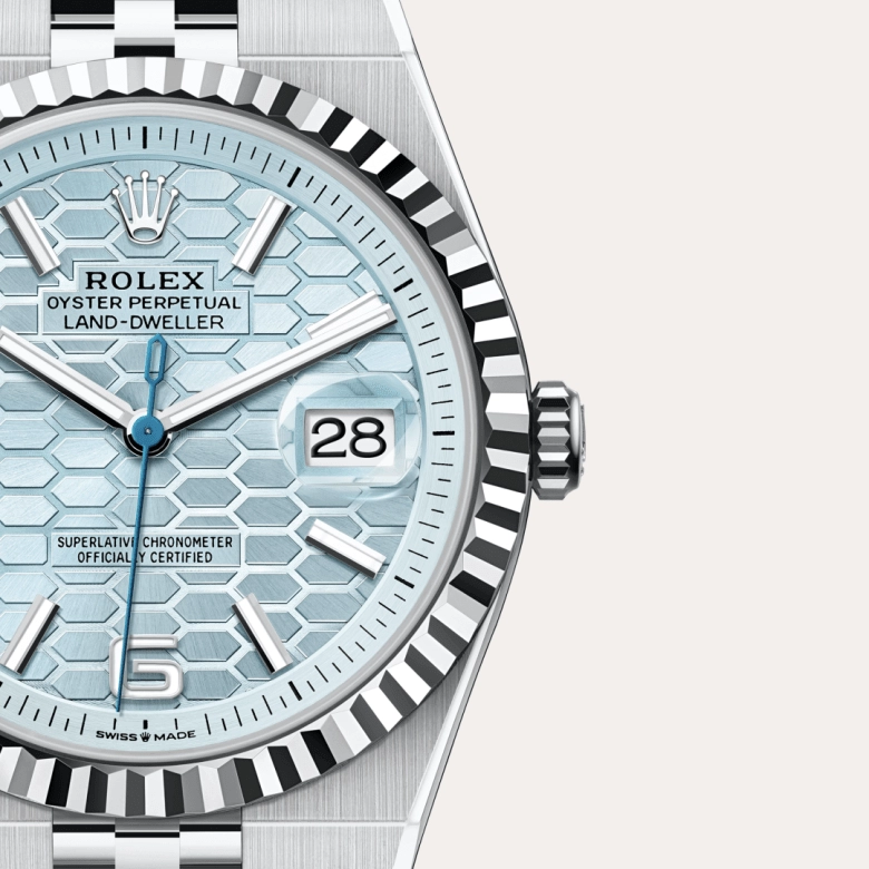 Rolex Land-Dweller in Platinum, M127336-0001 - Cortina Watch Thailand