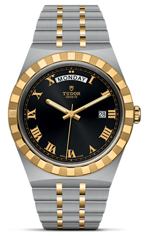 TUDOR帝舵皇家系列帝舵皇家系列磨光及磨砂钢表壳，直径41毫米 - M28603-0003 at Cortina Watch Singapore