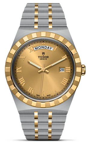 TUDOR帝舵皇家系列帝舵皇家系列磨光及磨砂钢表壳，直径41毫米 - M28603-0004 at Cortina Watch Singapore