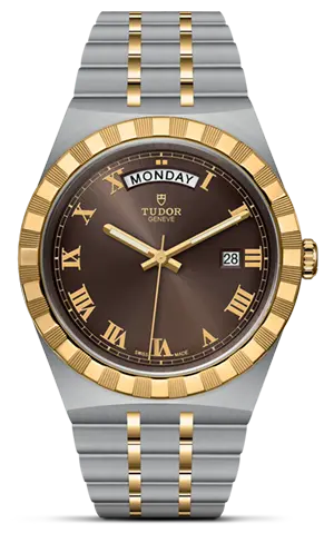 TUDORTUDOR RoyalTUDOR Royal41mm steel case with polished and satin finish - M28603-0007 at Cortina Watch Singapore