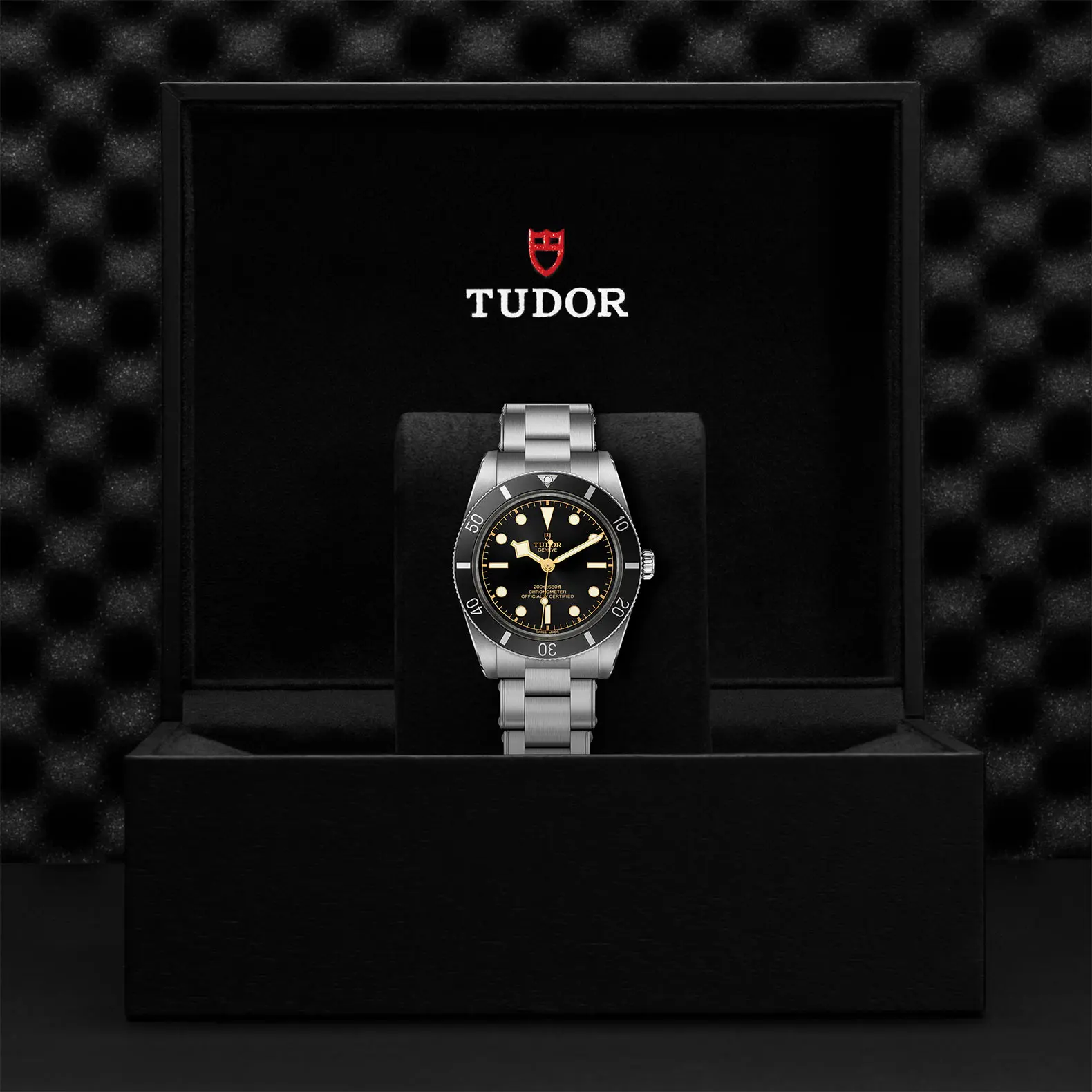 TUDORBlack Bay 54Black Bay 5437mm stainless steel case with polished and satin finish - M79000N-0001 at Cortina Watch Singapore