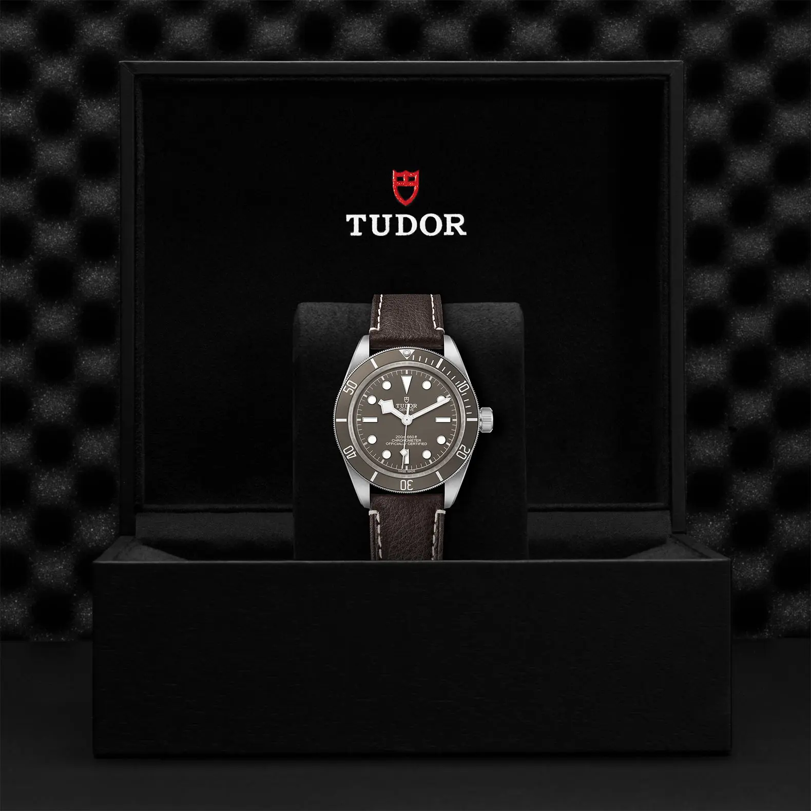 TUDORBlack Bay 58 925Black Bay 5839mm 925 silver case, satin finished Open case back with sapphire crystal - M79010SG-0001 at Cortina Watch Singapore