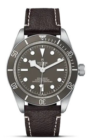 TUDORBlack Bay 58 925Black Bay 5839mm 925 silver case, satin finished Open case back with sapphire crystal - M79010SG-0001 at Cortina Watch Singapore