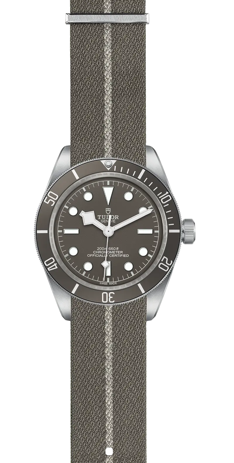 TUDOR碧湾1958型925碧湾1958型磨砂925银表壳，直径39毫米 
 透明蓝水晶镜面底盖 - M79010SG-0002 at Cortina Watch Singapore