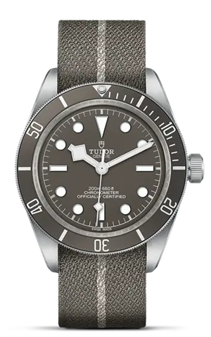 TUDORBlack Bay 58 925Black Bay 5839mm 925 silver case, satin finished Open case back with sapphire crystal - M79010SG-0002 at Cortina Watch Singapore