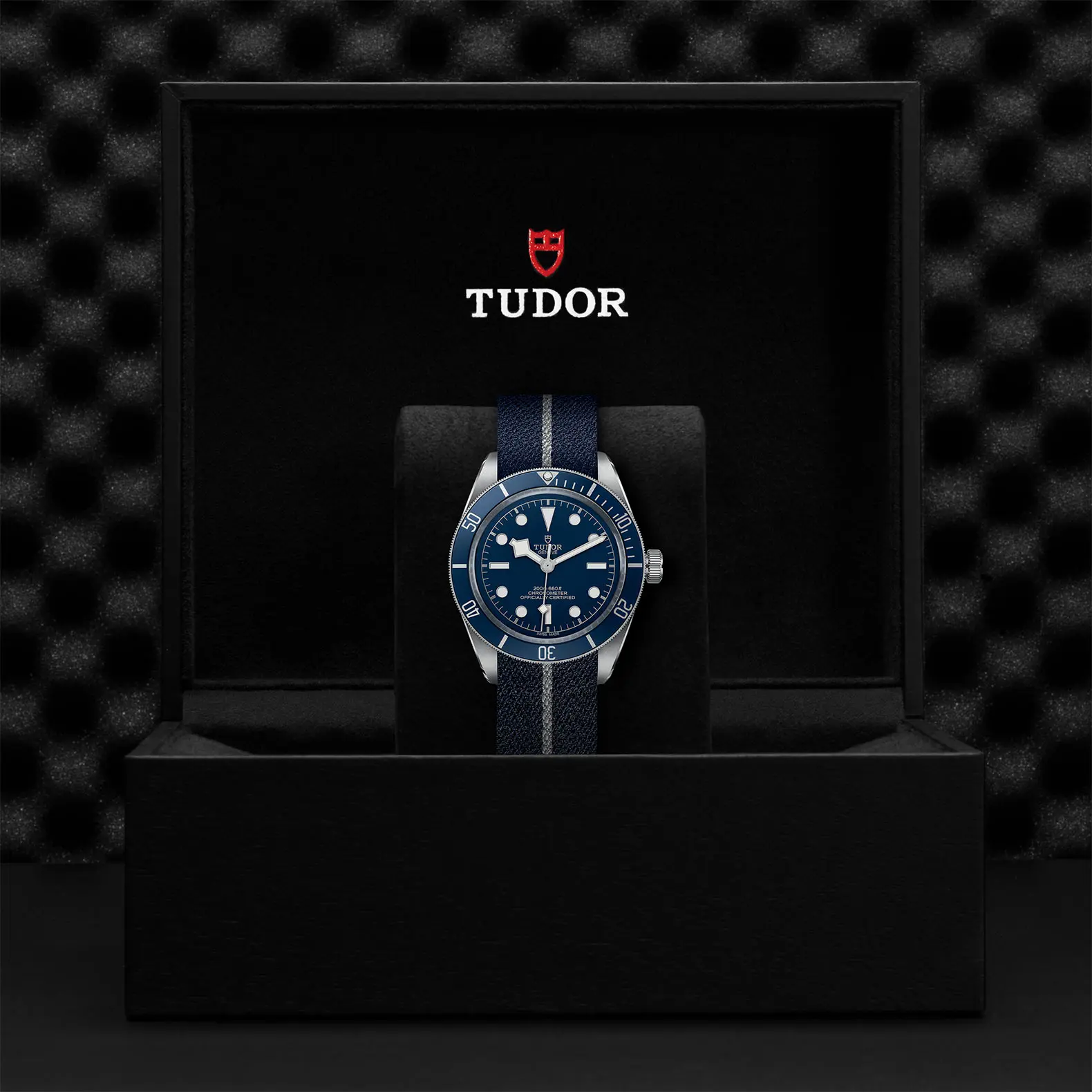 TUDORBlack Bay 58Black Bay 5839mm steel case with polished and satin finish - M79030B-0003 at Cortina Watch Singapore