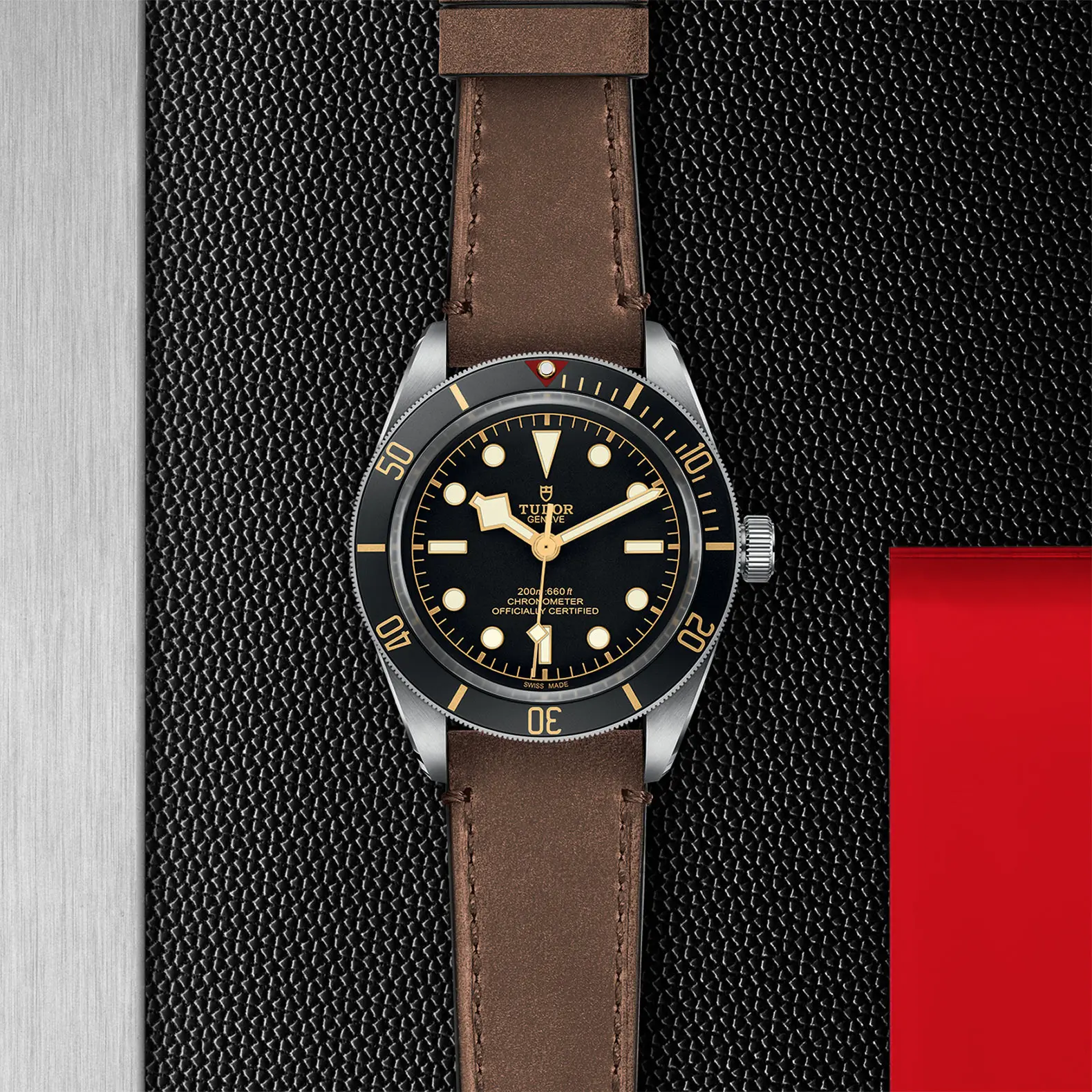 TUDORBlack Bay 58Black Bay 5839mm steel case with polished and satin finish - M79030N-0002 at Cortina Watch Singapore