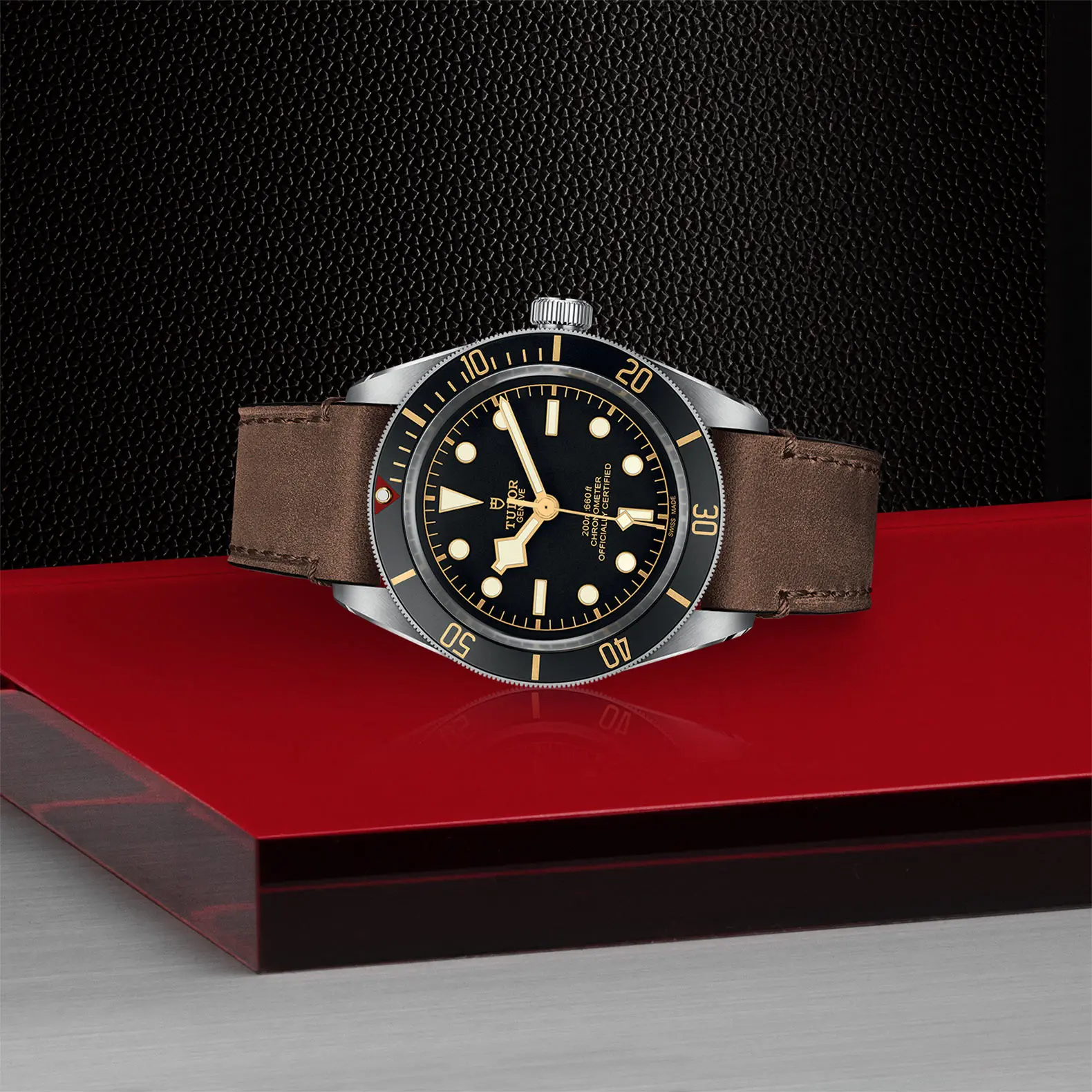 TUDORBlack Bay 58Black Bay 5839mm steel case with polished and satin finish - M79030N-0002 at Cortina Watch Singapore