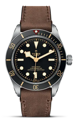 TUDORBlack Bay 58Black Bay 5839mm steel case with polished and satin finish - M79030N-0002 at Cortina Watch Singapore