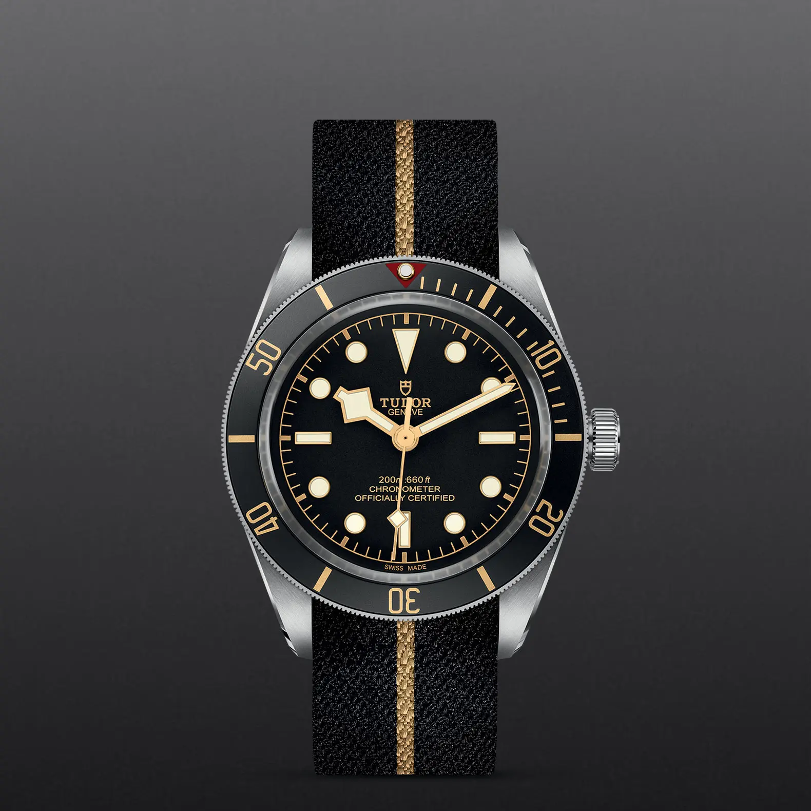 TUDORBlack Bay 58Black Bay 5839mm steel case with polished and satin finish - M79030N-0003 at Cortina Watch Singapore