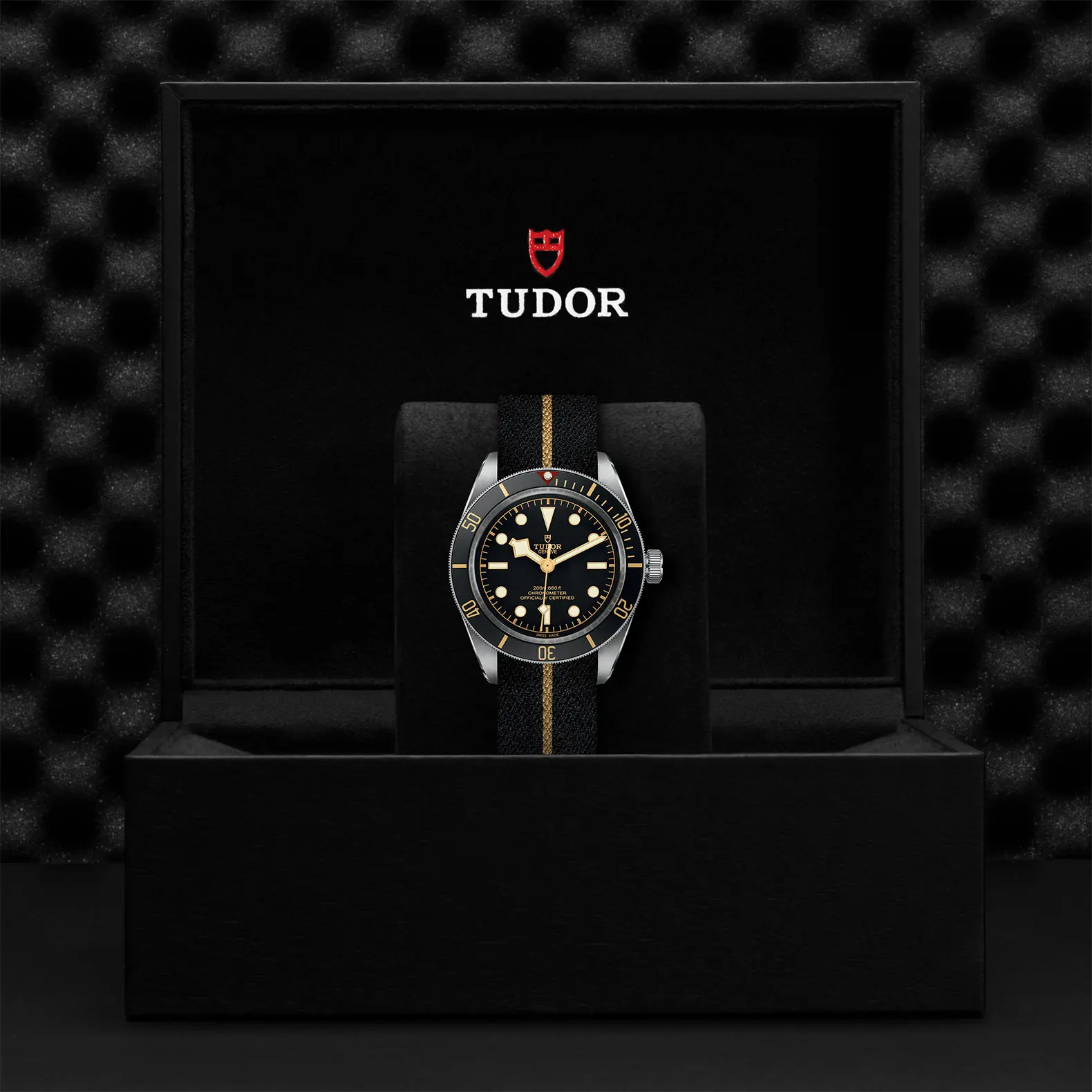 TUDORBlack Bay 58Black Bay 5839mm steel case with polished and satin finish - M79030N-0003 at Cortina Watch Singapore