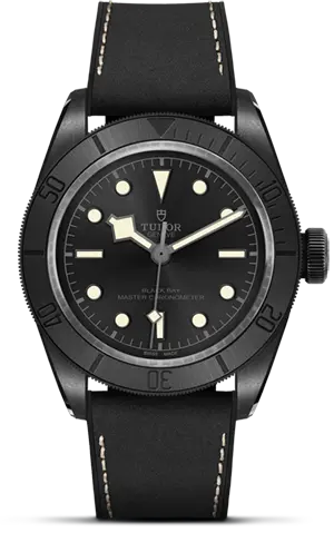 TUDORBlack Bay CeramicBlack Bay41mm matt black ceramic case with micro-blasted finish and monobloc middle case Open case back in black-PVD-treated 316L steel with sapphire crystal - M79210CNU-0001 at Cortina Watch Singapore