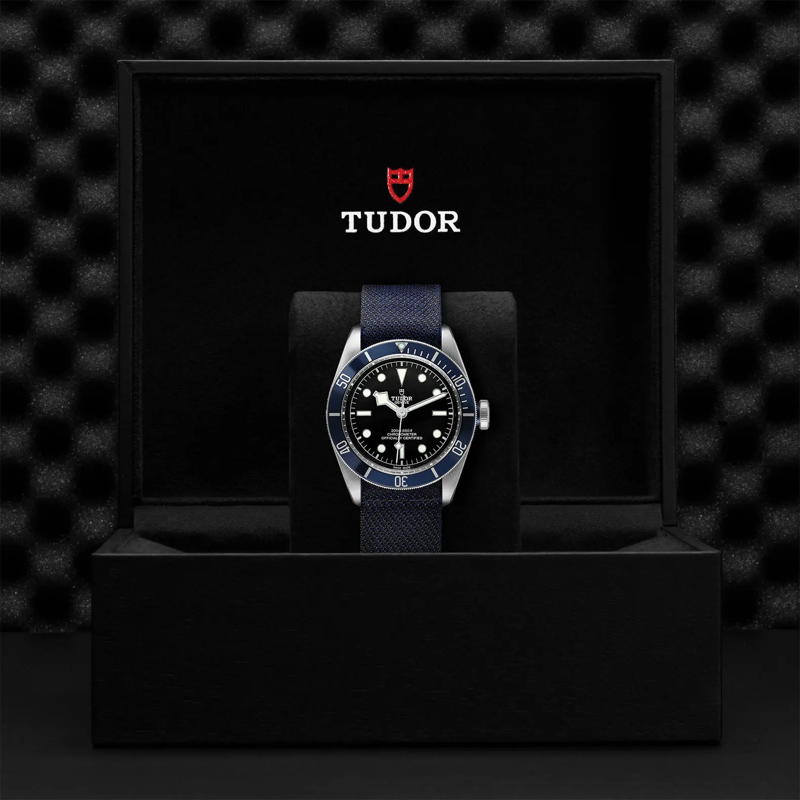 TUDOR碧湾碧湾磨光及磨砂钢表壳，直径41毫米 - M79230B-0006 at Cortina Watch Singapore