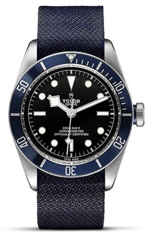TUDOR碧湾碧湾磨光及磨砂钢表壳，直径41毫米 - M79230B-0006 at Cortina Watch Singapore