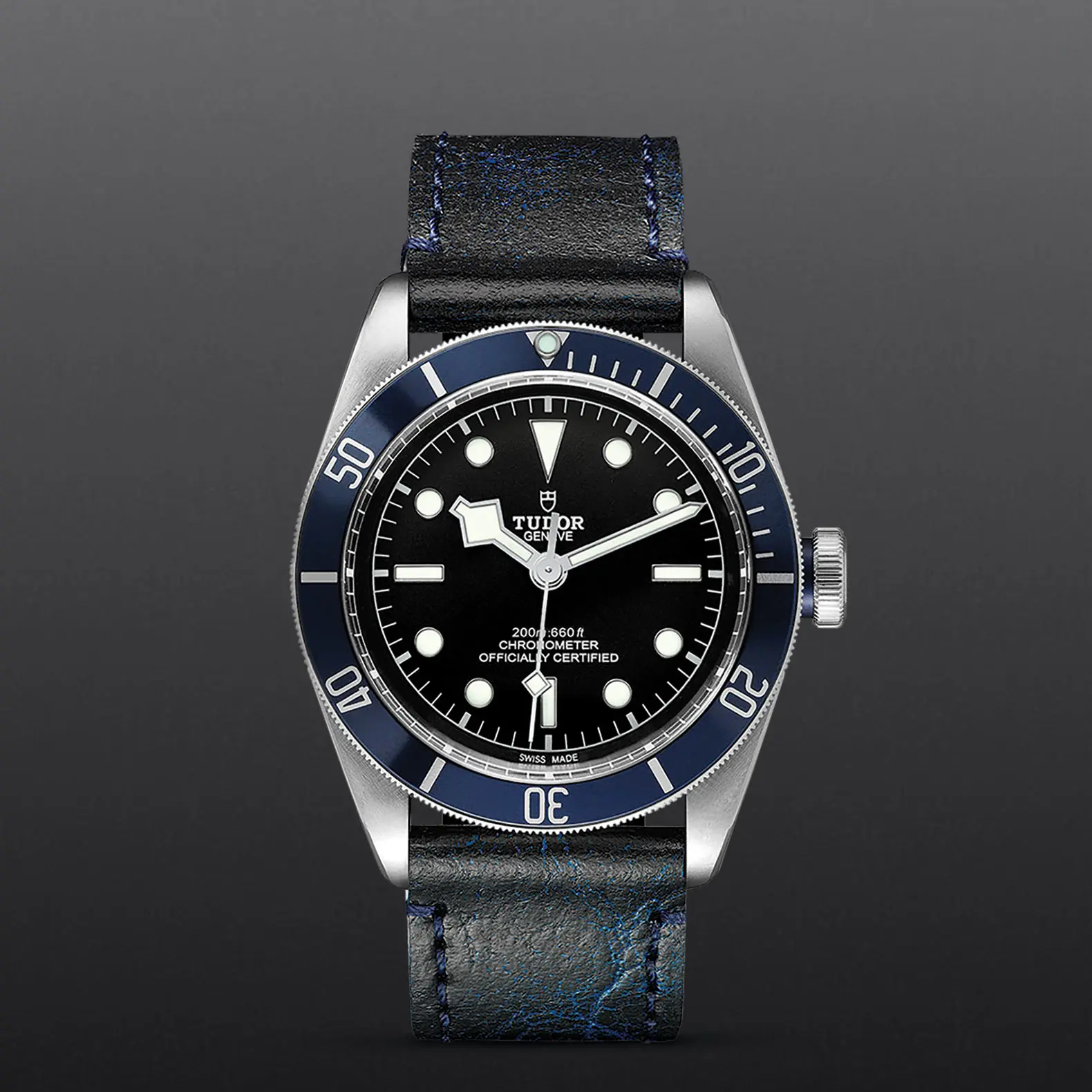 TUDOR碧湾碧湾磨光及磨砂钢表壳，直径41毫米 - M79230B-0007 at Cortina Watch Singapore