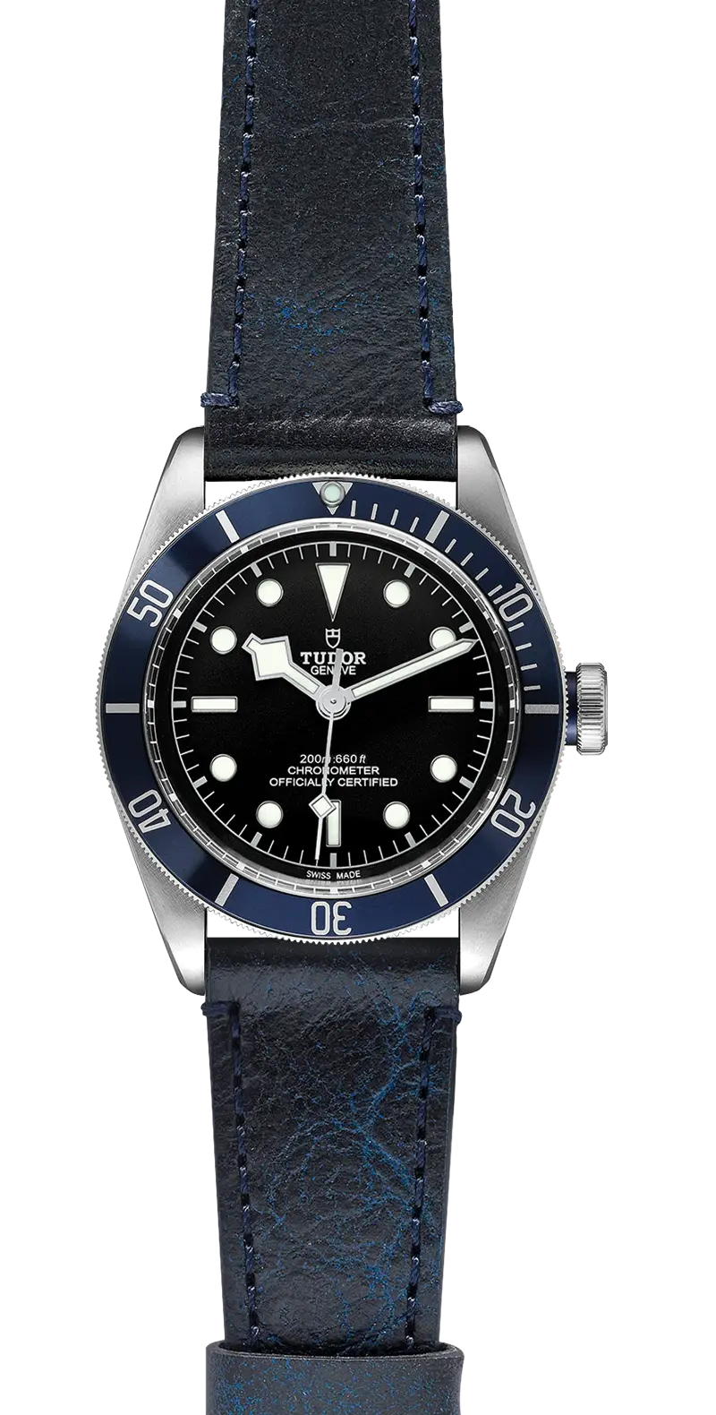 TUDOR碧湾碧湾磨光及磨砂钢表壳，直径41毫米 - M79230B-0007 at Cortina Watch Singapore
