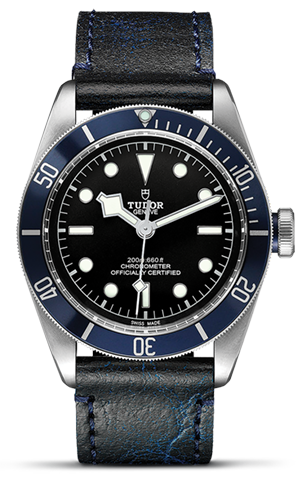 TUDOR碧湾碧湾磨光及磨砂钢表壳，直径41毫米 - M79230B-0007 at Cortina Watch Singapore