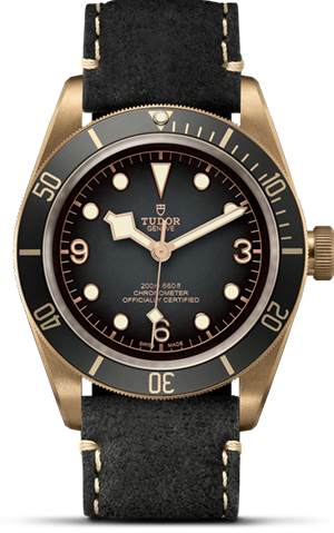 TUDOR碧湾青铜型碧湾青铜型磨砂青铜表壳，青铜色PVD钢底盖，直径43毫米 - M79250BA-0001 at Cortina Watch Singapore