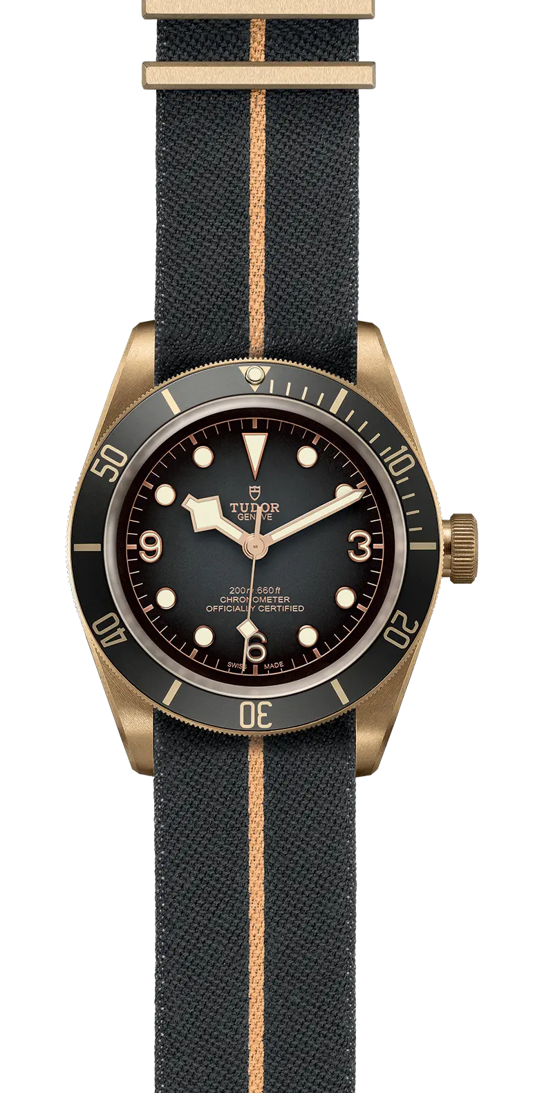 TUDORBlack Bay BronzeBlack Bay Bronze43mm bronze case with bronze-coloured PVD-treated steel case back and satin finish - M79250BA-0002 at Cortina Watch Singapore