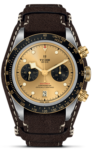 TUDOR碧湾计时型黄金钢款碧湾计时型磨光及磨砂钢表壳，直径41毫米 - M79363N-0008 at Cortina Watch Singapore