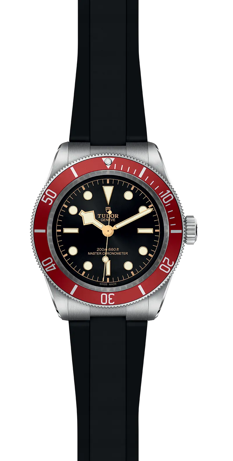 TUDORBlack BayBlack Bay41mm stainless steel case with polished and satin finish - M7941A1A0RU-0002 at Cortina Watch Singapore