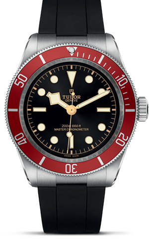 TUDOR碧湾碧湾磨光及磨砂不锈钢表壳，直径41毫米 - M7941A1A0RU-0002 at Cortina Watch Singapore