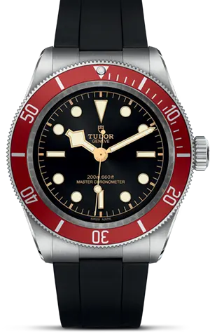 TUDORBlack BayBlack Bay41mm stainless steel case with polished and satin finish - M7941A1A0RU-0002 at Cortina Watch Singapore