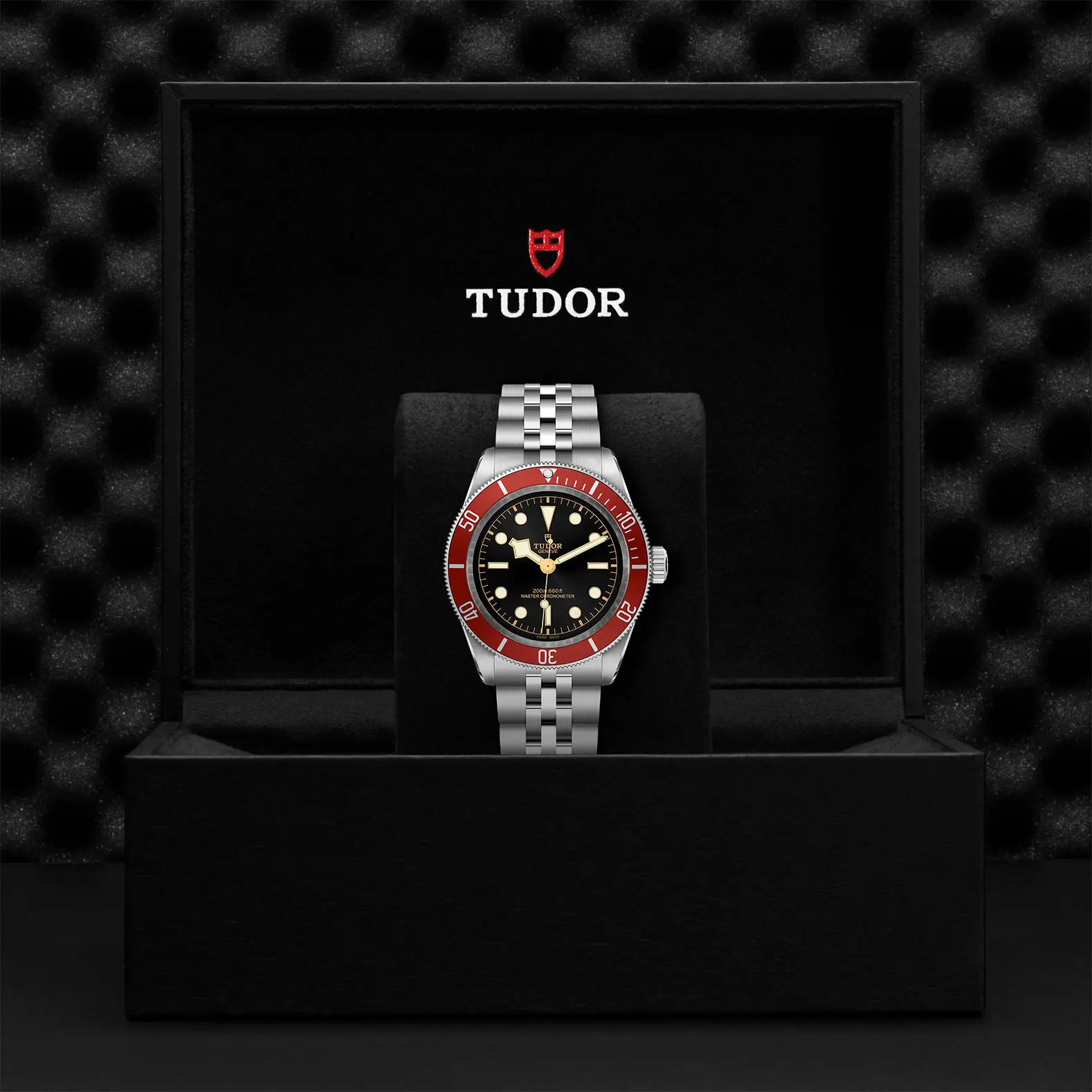 TUDORBlack BayBlack Bay41mm stainless steel case with polished and satin finish - M7941A1A0RU-0003 at Cortina Watch Singapore