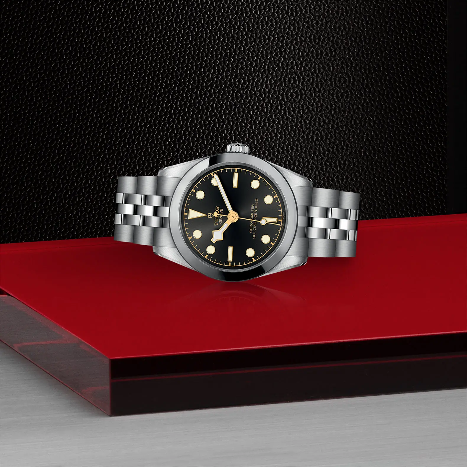 TUDORBlack Bay 31Black Bay 31/36/39/4131mm stainless steel case with polished and satin finish - M79600-0001 at Cortina Watch Singapore