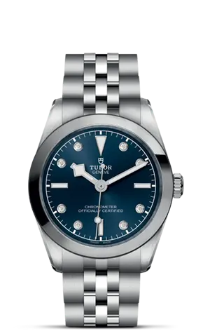 TUDORBlack Bay 31Black Bay 31/36/39/4131mm stainless steel case with polished and satin finish - M79600-0005 at Cortina Watch Singapore
