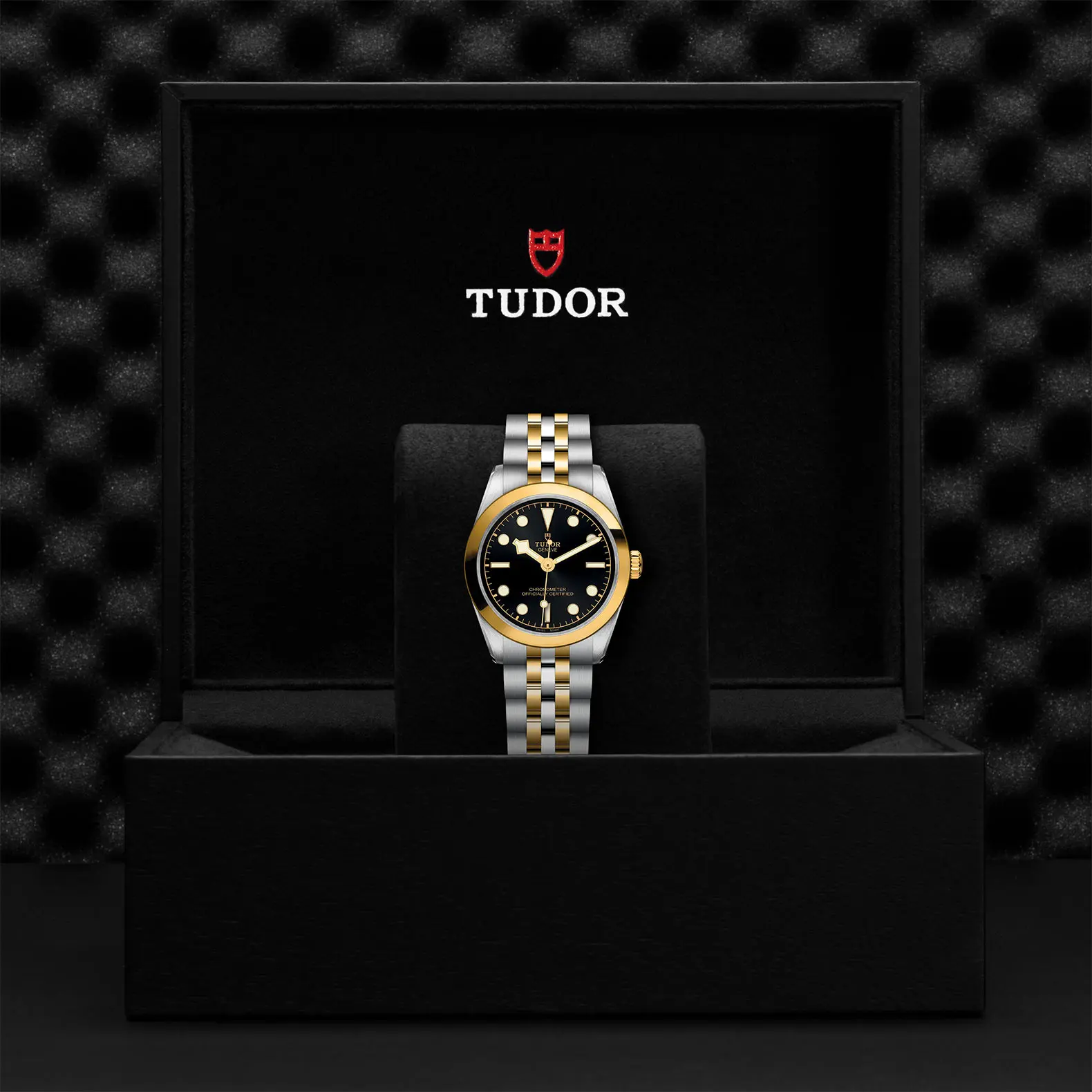 TUDORBlack Bay 31 S&GBlack Bay 31/36/39/4131mm 316L steel case with polished and satin finish - M79603-0001 at Cortina Watch Singapore