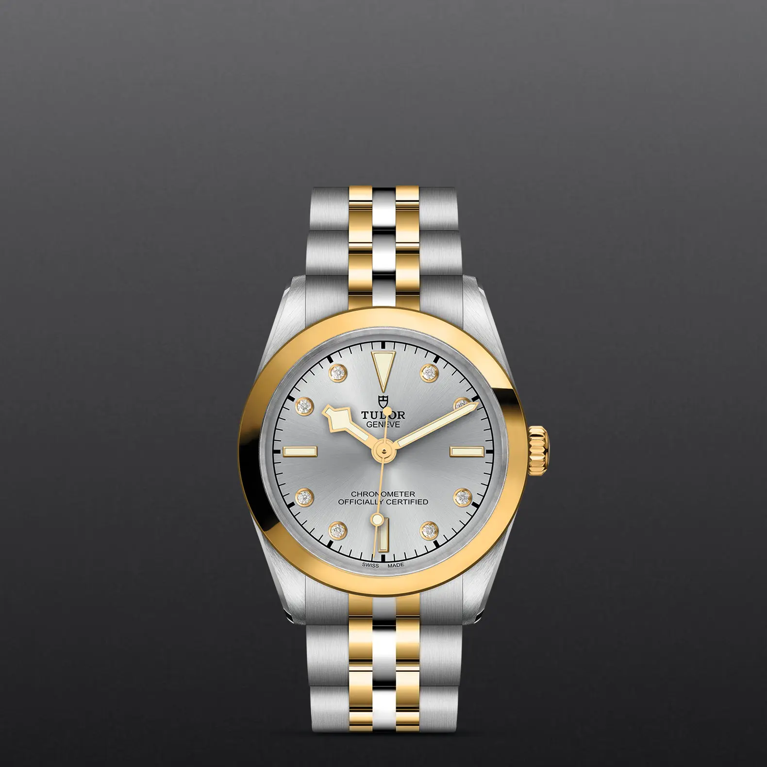 TUDOR碧湾型 31黄金钢款碧湾型 31/36/39/41磨光及磨砂316L钢表壳，直径31毫米 - M79603-0007 at Cortina Watch Singapore