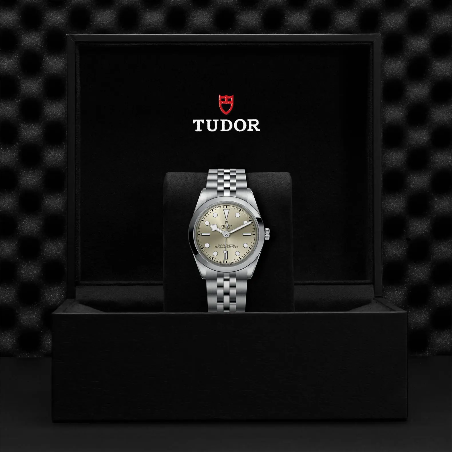 TUDORBlack Bay 36Black Bay 31/36/39/4136mm steel case with polished and satin finish - M79640-0003 at Cortina Watch Singapore