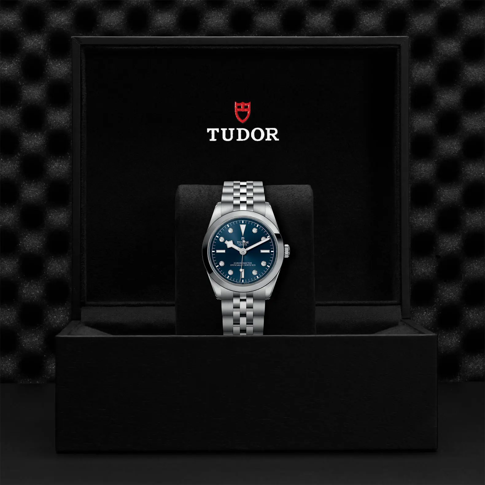 TUDORBlack Bay 36Black Bay 31/36/39/4136mm steel case with polished and satin finish - M79640-0005 at Cortina Watch Singapore