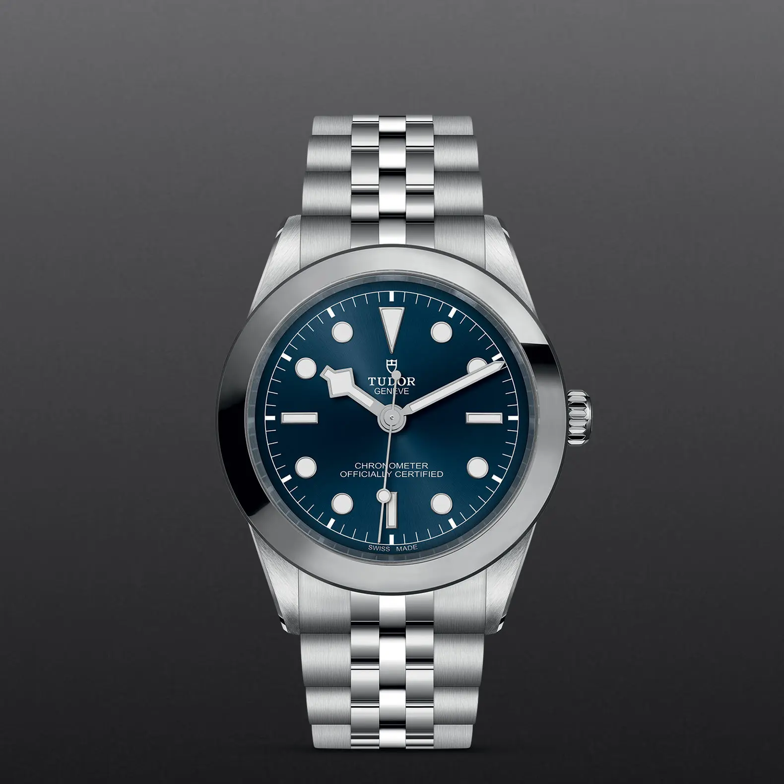 TUDORBlack Bay 39Black Bay 31/36/39/4139mm stainless steel case with polished and satin finish - M79660-0002 at Cortina Watch Singapore