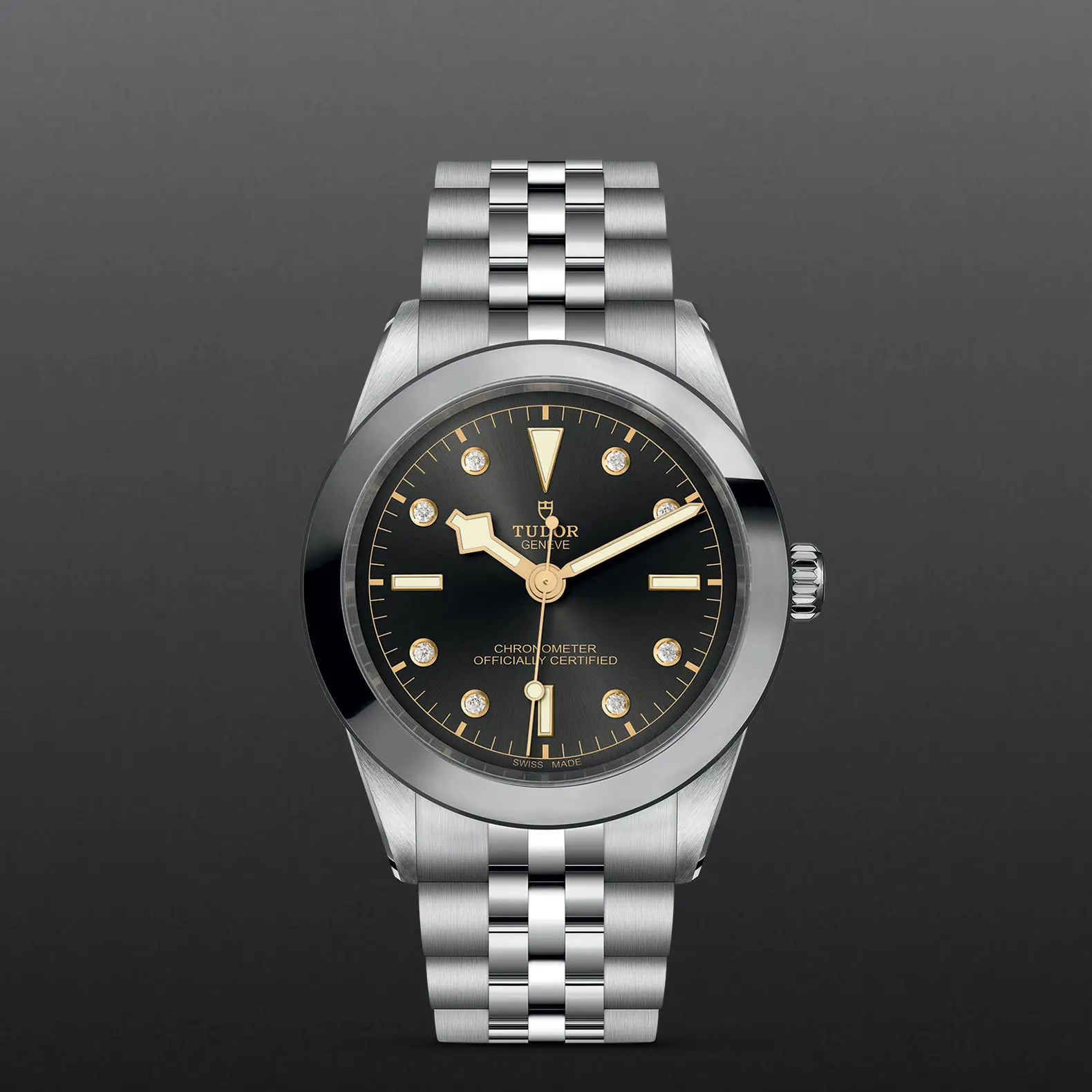 TUDORBlack Bay 39Black Bay 31/36/39/4139mm stainless steel case with polished and satin finish - M79660-0004 at Cortina Watch Singapore