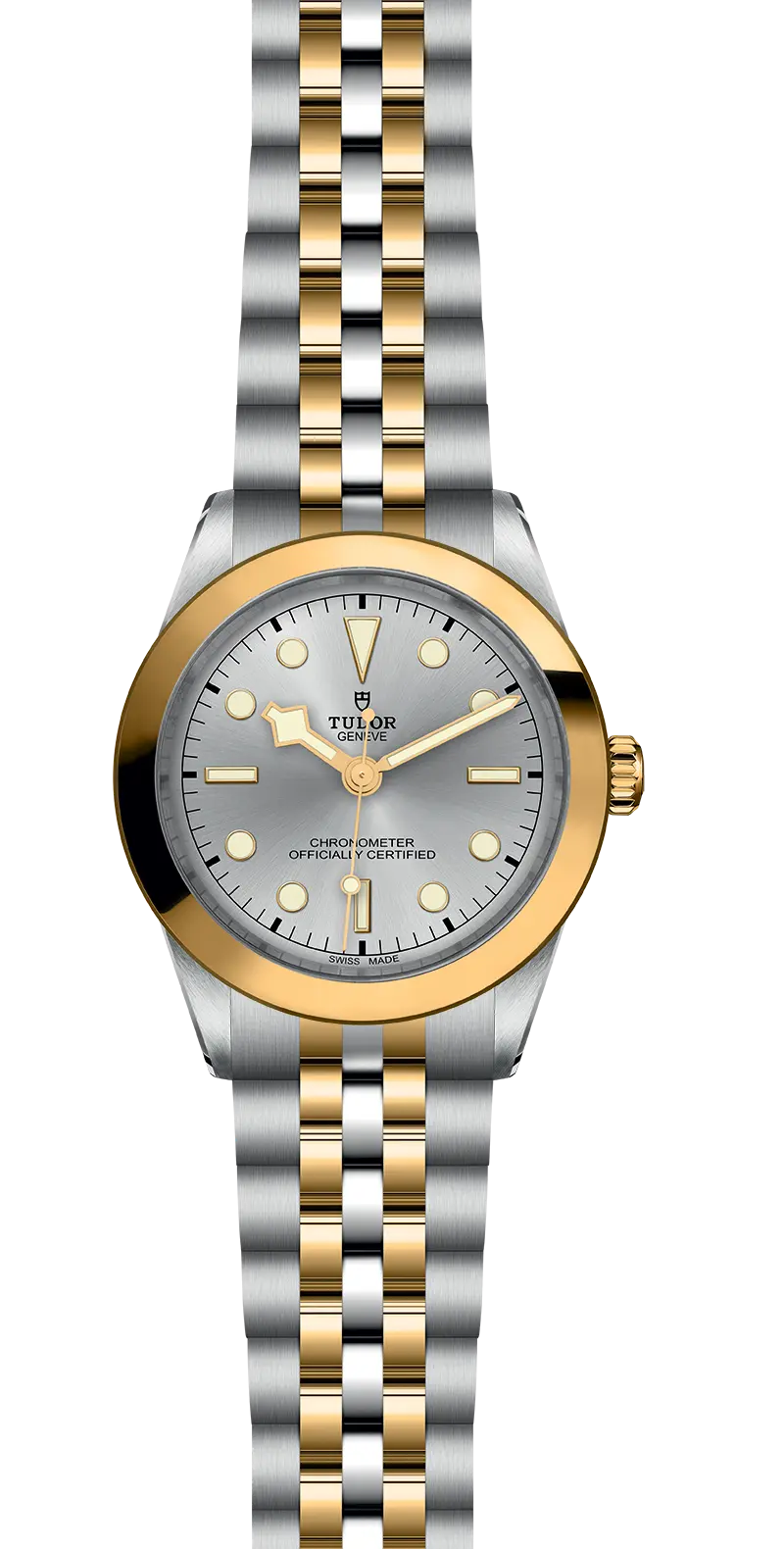 TUDORBlack Bay 39 S&GBlack Bay 31/36/39/4139mm steel case with polished and satin finish - M79663-0002 at Cortina Watch Singapore