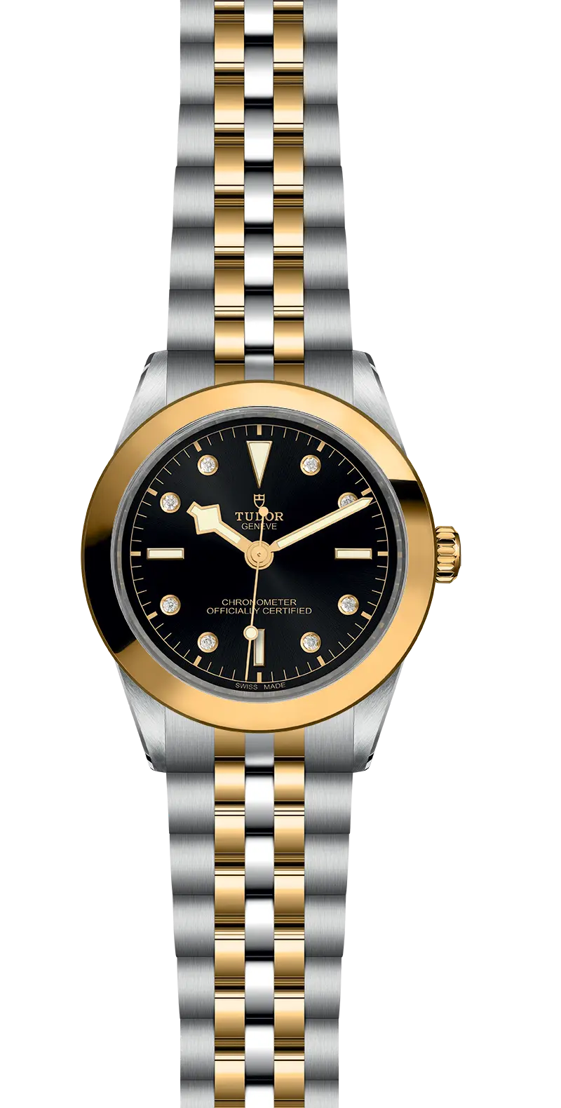 TUDORBlack Bay 39 S&GBlack Bay 31/36/39/4139mm steel case with polished and satin finish - M79663-0006 at Cortina Watch Singapore