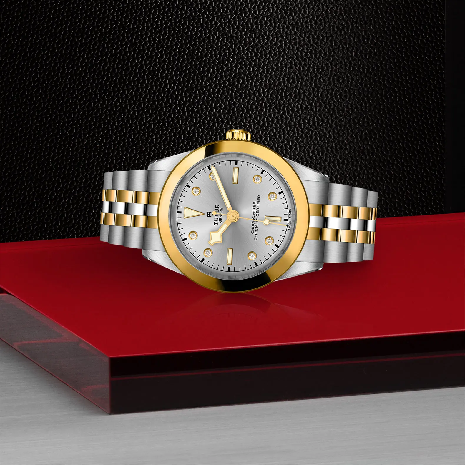 TUDOR碧湾型 39黄金钢款碧湾型 31/36/39/41磨光及磨砂钢表壳，直径39毫米 - M79663-0007 at Cortina Watch Singapore