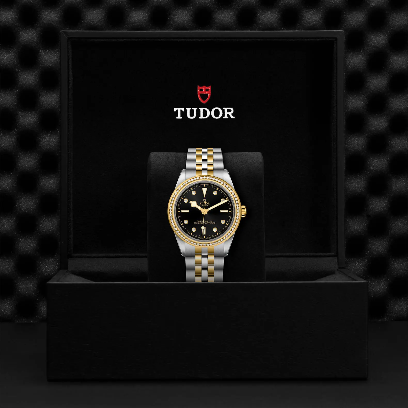 TUDORBlack Bay 39 S&GBlack Bay 31/36/39/4139mm steel case with polished and satin finish - M79673-0005 at Cortina Watch Singapore